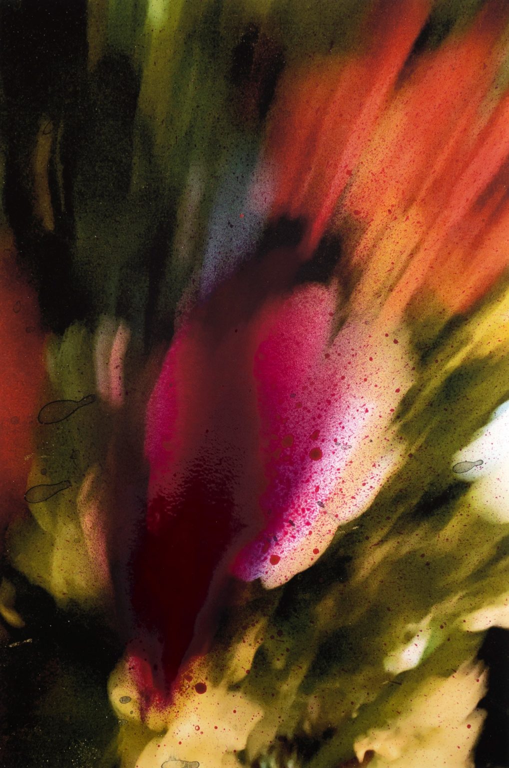 10, 2023 by Mehdi Dandi Art Gems